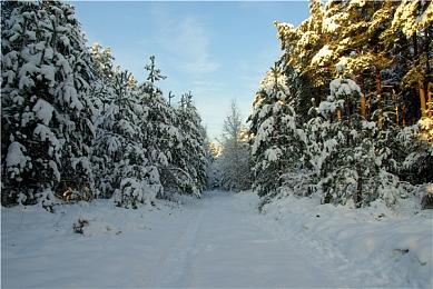 《学园构想家》宣布2024年夏季登陆主机 本周上线小型更新